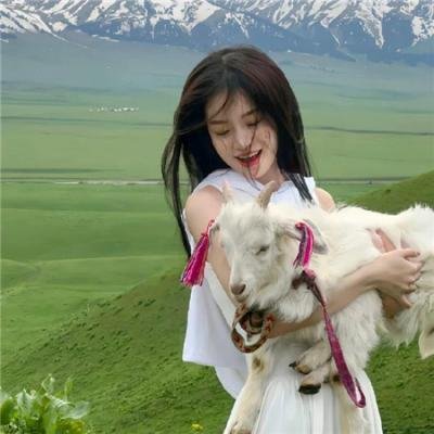 八十龟酱观察日记第二季