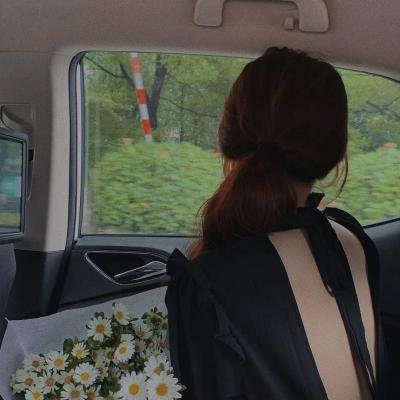 达利与史巴基奇遇记